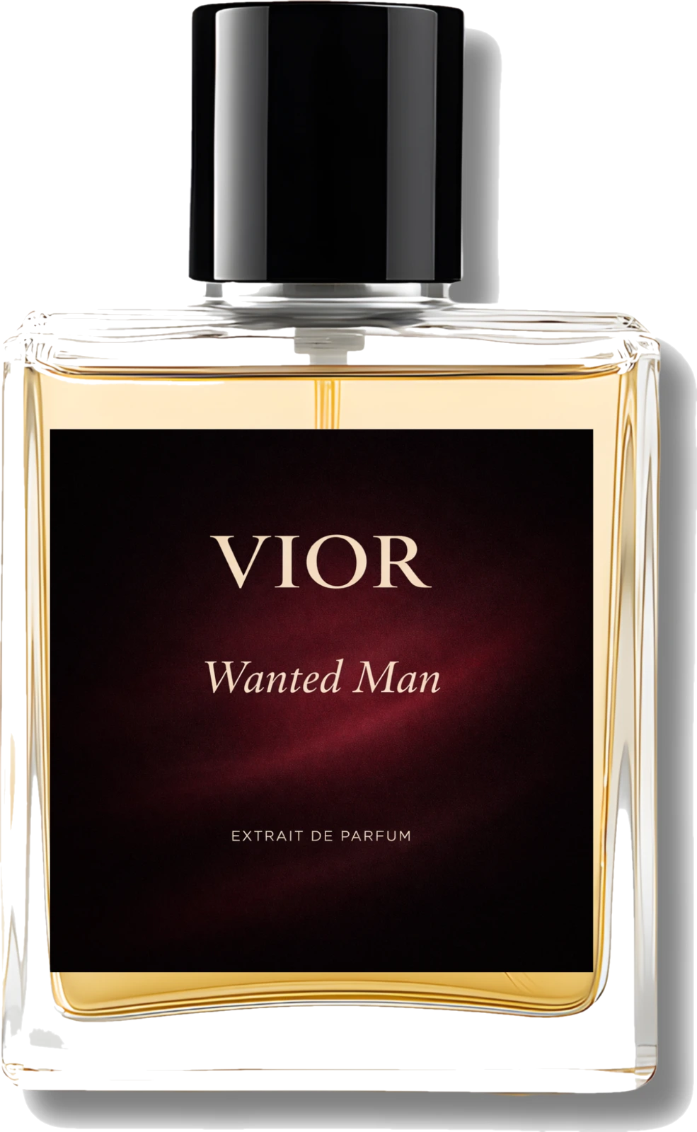VIOR Wanted Man